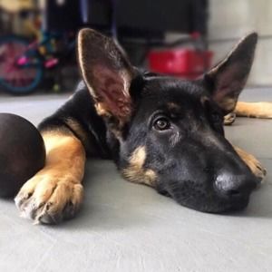 Meet your Posher, Abi